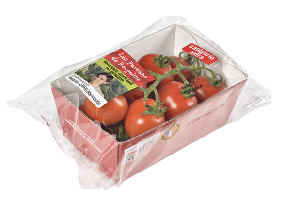 barquette tomate cerise